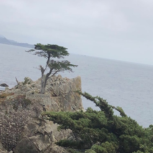 Meet your Posher, Mari - Picture 1 of 1